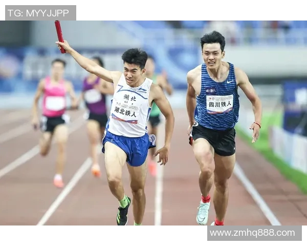 体育激情四射，探索运动员背后的训练秘密与竞技精神